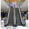 Sicher Gre20 Nice Quality Escalator